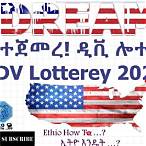 dv lottery 2021 statistics